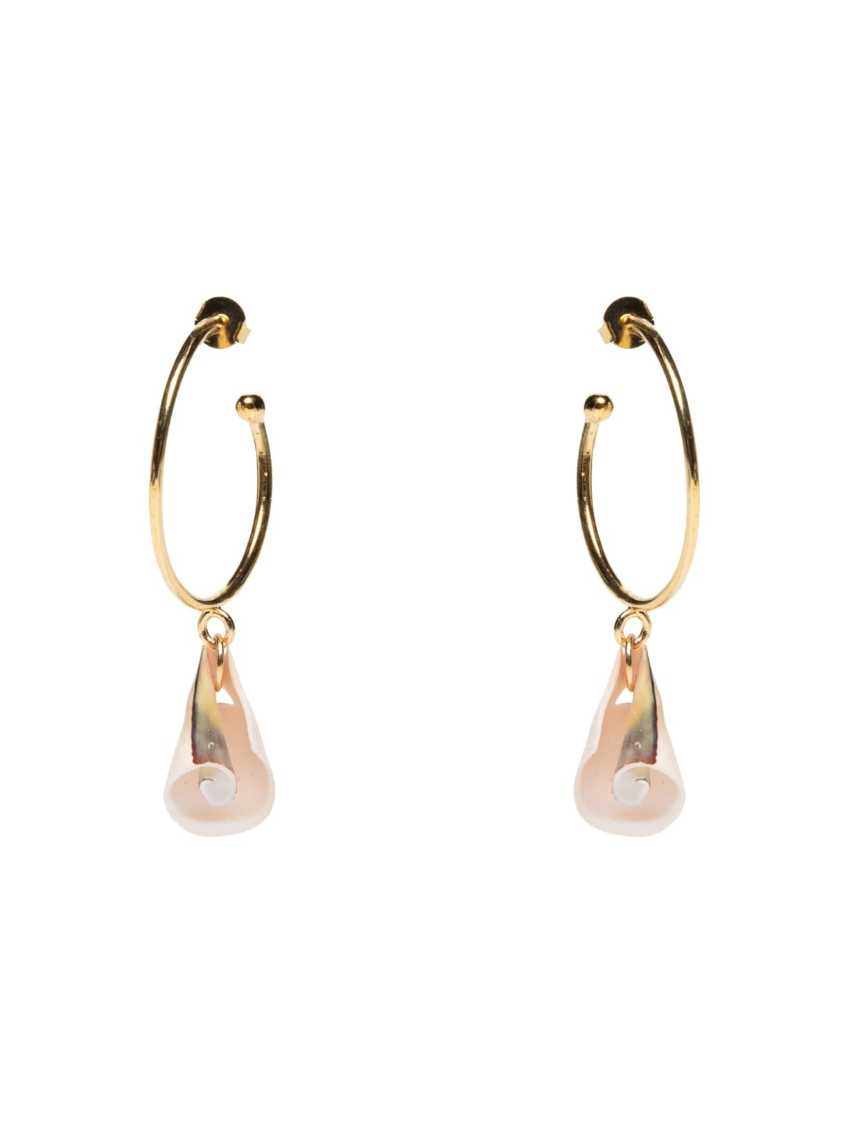Brinco Feminino Argola Conchário - Dourado